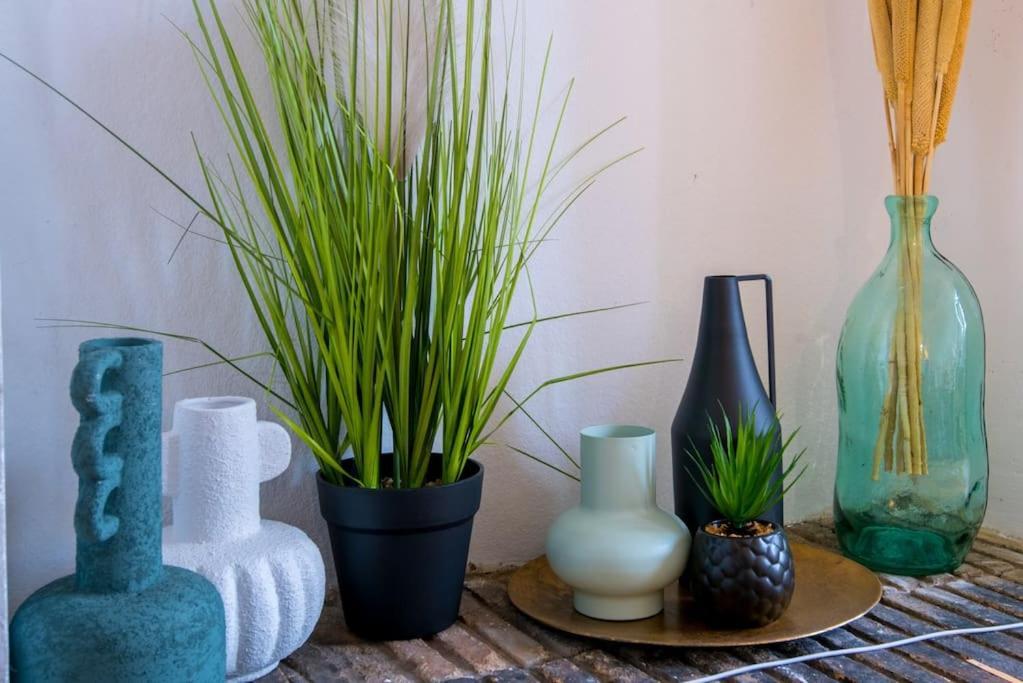 Le Botanica Apartment Angers Exterior foto